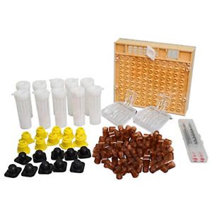 Queen Bee Rearing System Kit for Beekeeping Grafting Pen Plastic Queen Bees Box