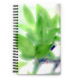Spiral notebook
