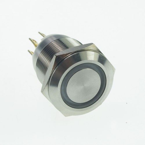 1 x 19mm Mount  Stainless Steel Push Button Switch Momentary  2 Position
