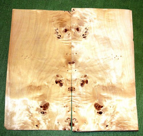 12.5&#034; x 6-3/8&#034; leafs of Mappa Burl Bookmatched Craft Veneer (#v1379)