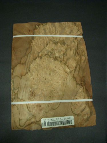 Pimento burl wood veneer raw 9 &#034; x 13 1/2 &#034; - 33 mm x 23 mm one sheet for sale