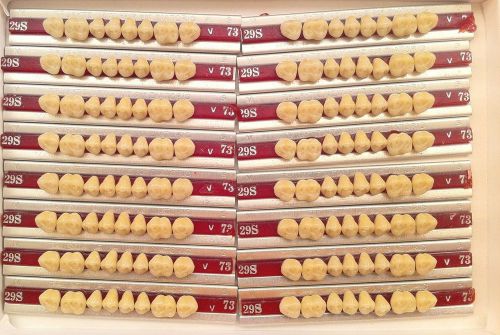 Dentsply New Hue Dentist Dental Lab Porcelain Denture Teeth - 29S  U  73