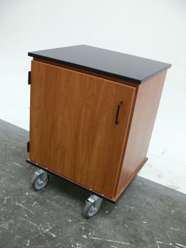 Under counter storage cabinet with rollers 24&#034;x21&#034;x32&#034;, lab, garage, workshop for sale