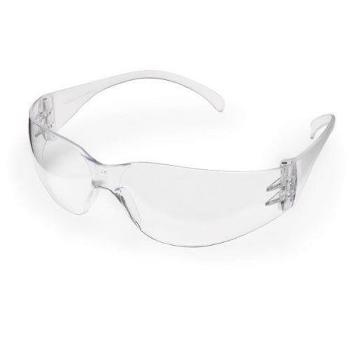 Intruder Economy Safety Glasses - Standard 1 ea