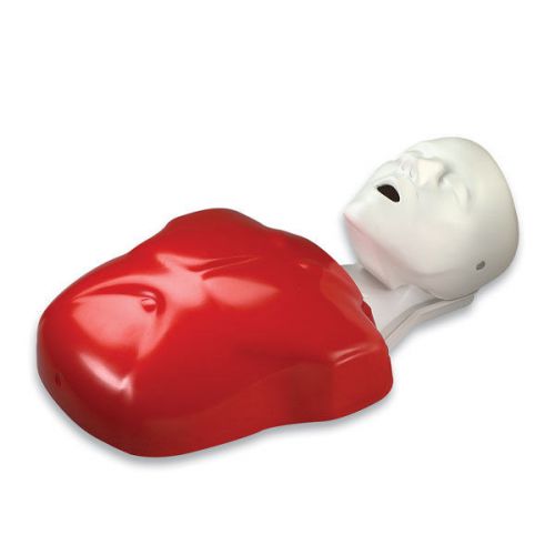 Brand New Nasco Life/form Basic Buddy Single CPR Training Manikin LF03693U