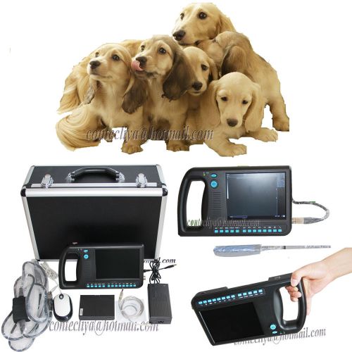 Vet veterinary software digital palmsmart ultrasound scanner with two probes,new for sale