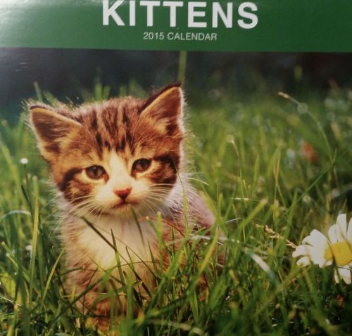 2015 KITTENS 11x11 Wall Calendar NEW &amp; SEALED Cute Cats Every Month!