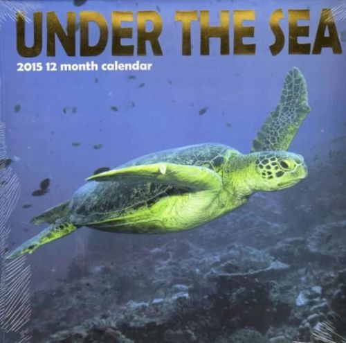 Under the Sea  - 2015 12 Month  WALL CALENDAR - 12x12  - NEW 2015