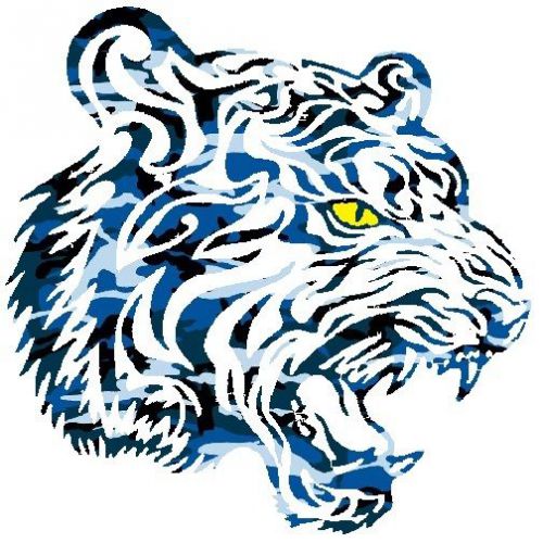 30 Custom Blue Camo Tiger Personalized Address Labels