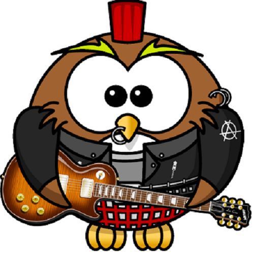 30 Custom Punk Rock Owl Personalized Address Labels