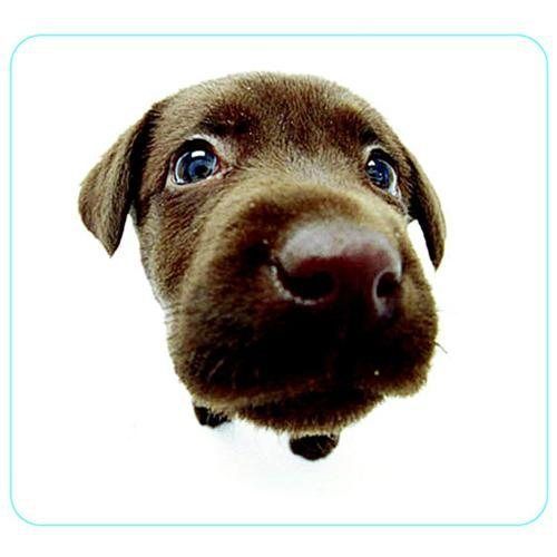 Allsop chocolate lab mouse pad 29304 for sale