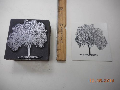 Letterpress Printing Printers Block, Lovely Spring Tree w New Leaves