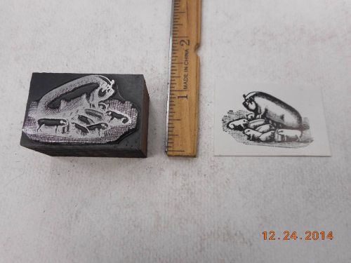 Letterpress Printing Printers Block, Farm Sow Pig with Litter of Piglets