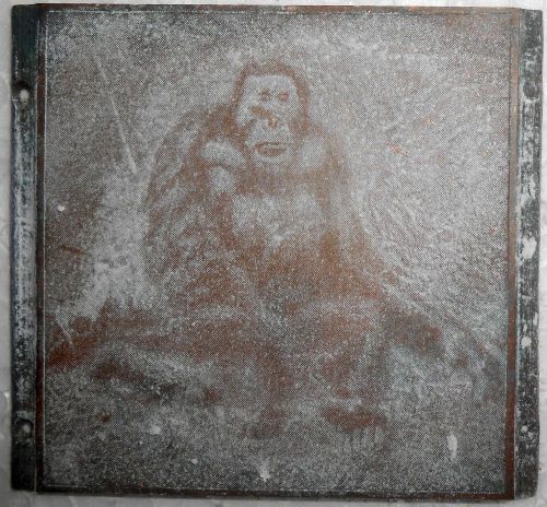 India vintage printers copper block chimpanzee wood base removed from  back s963 for sale