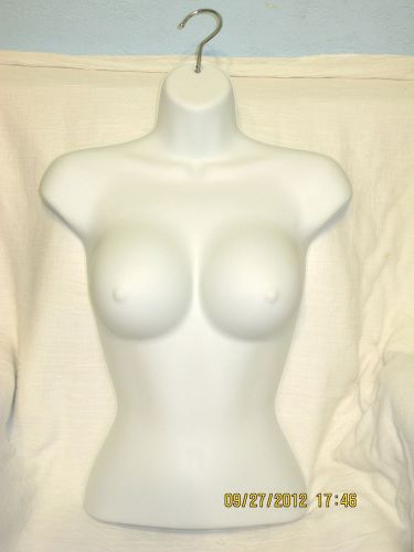 NEW - BUSTY FEMALE MANNEQUIN TORSO FORM - WHITE