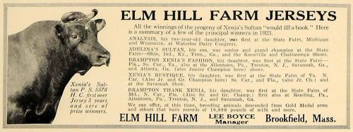 1924 ad breeding cows lee boyce elm hill farm xenia - original advertising cl4 for sale