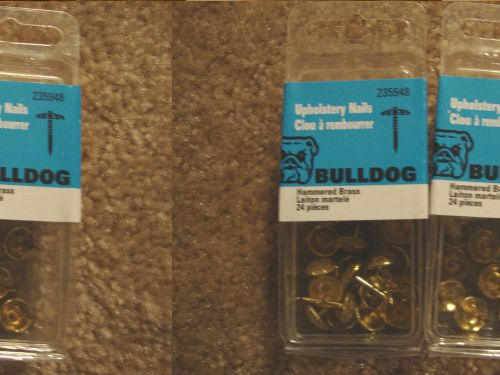 Bulldog Hammered Brass Upholstery Nails 24 count