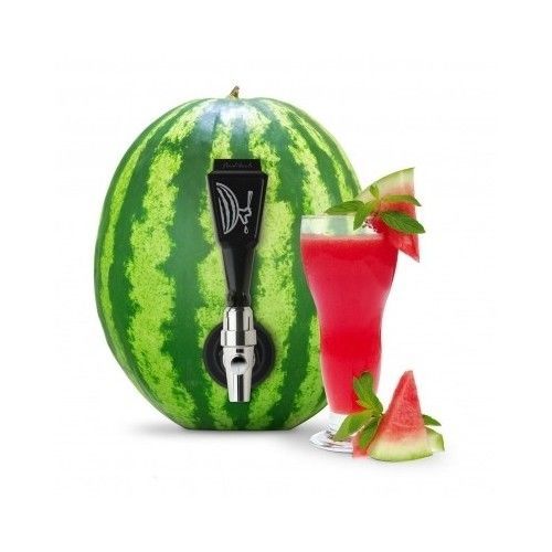 Watermelon Keg Kit Tap Faucet Barbecues Picnics Party Fruit Beverage Juicer Tool