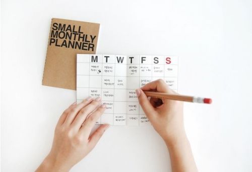 Monthly Planner Notebook [ Small ] / Monthly Diary / Kraft Monthly Planner