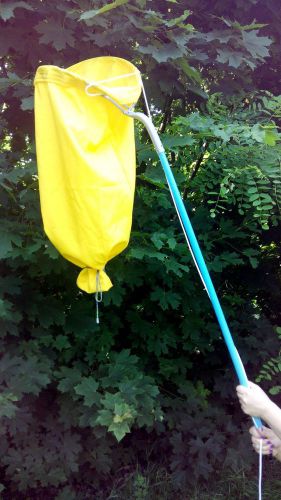 NEW  Trap Bag for catching HoneyBees Swarms / removal Beekeeping Bee