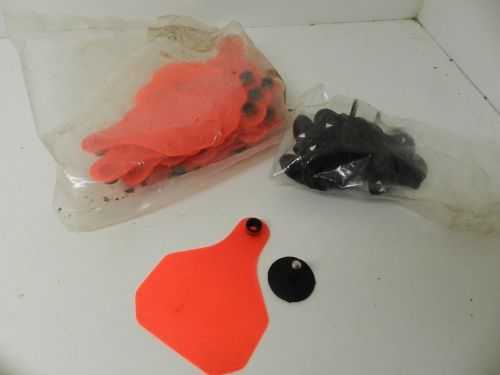 Temple Tags? Herdsman Colored Plastic Ear Tag Cattle Hogs Sheep Orange