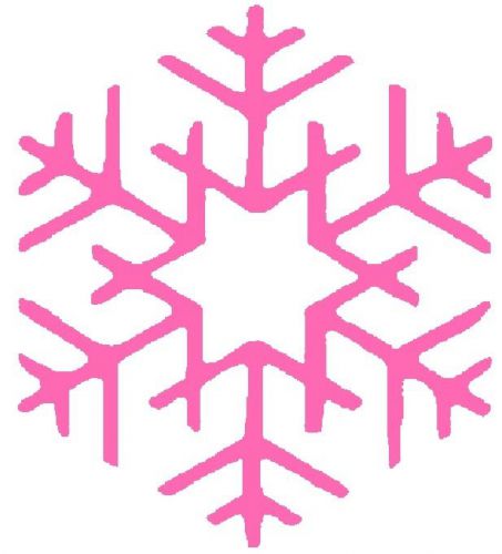 30 Custom Pink Star Snow Flake Personalized Address Labels