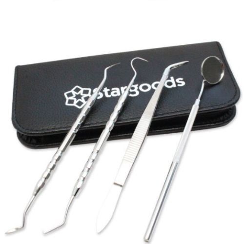 Dental Instruments Hygiene Kit - Set of 4 Dentist Tools + Pouch NEW FREE