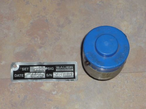 Bauer final seperator relief valve 225 bar (3263 psi) for sale