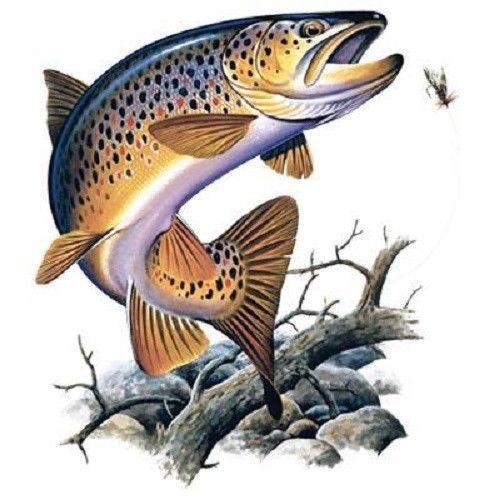 Brown Trout HEAT PRESS TRANSFER for T Shirt Tote Sweatshirt Quilt Fabric #249oo
