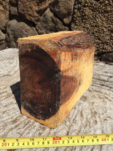 Hawaiian Monkeypod Bowl Blank 8&#034;x7&#034;x4&#034; Reclaimed Tropical Wood