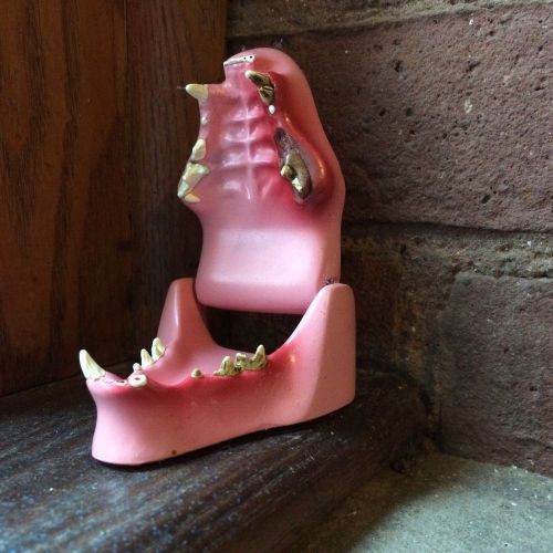 Feline Teeth Jaw Anatomical Model Cat Pfizer GPI 2002 Veterinary Oddity