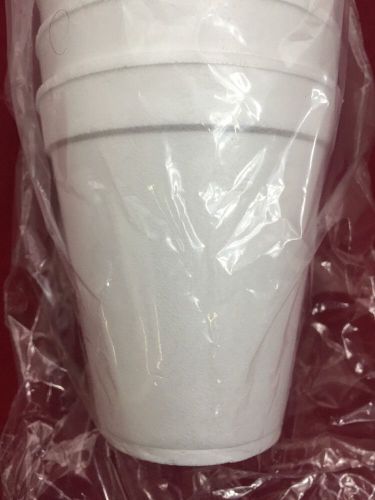 NEW CASE OF 1000 Commercial Hot &amp; Cold Insulated Foam Drinking Cups 10oz.