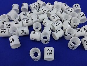 #34 Mini Slip On Size Markers Bag of 50 Retail Supply Hanger Garment Hanger