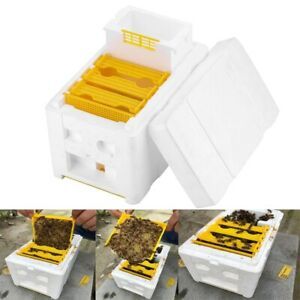 Harvest Bee Hive Beekeeping King Box Pollination Box Tool Perfect For Garden