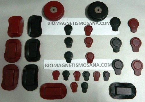 15 pair set of magnets ceramic @ neodymium for biomagnetismo biomagnetism pair for sale
