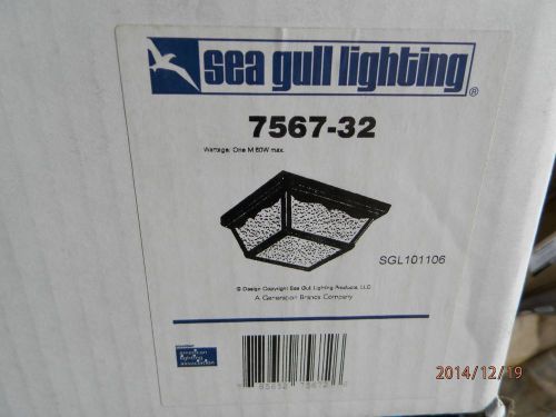 Sea Gull lighting 7567-32 Outdoor Ceiling - Black Collection