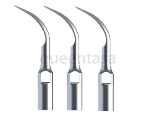 3 X  New Dental Scaler Scaling Tips GD1 For DTE Satelec Handpiece &amp; Tube BEST