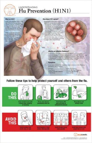 11 x 17 post-it disease chart:h1n1-flu prevention for sale