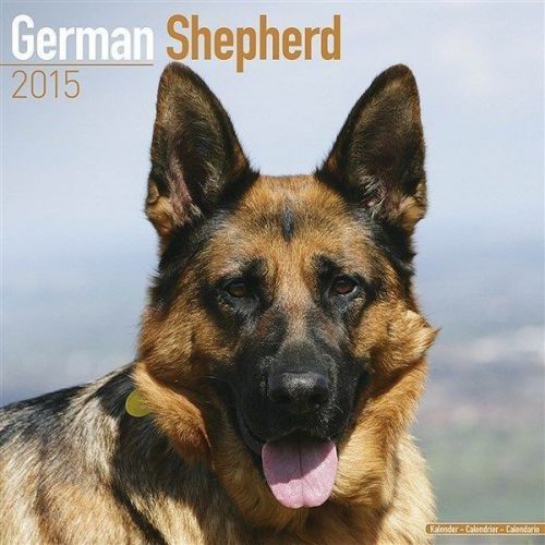 NEW 2015 German Shepherd Wall Calendar by Avonside- Free Priority Shipping!
