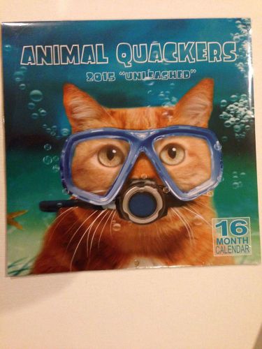 Large 12x24&#034; 2015 Wall Calendar Animal Quackers Unleashed - Cat~Dog~Bunny~Horse