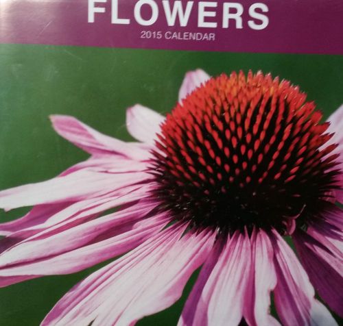 2015 FLOWERS 11x11 Wall Calendar NEW &amp; SEALED - Scenic Nature Every Month!