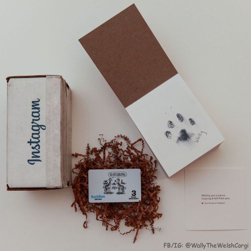 Pawtographed 2015 Animals of Instagram Calendar + 3-month BarkBox Subscription