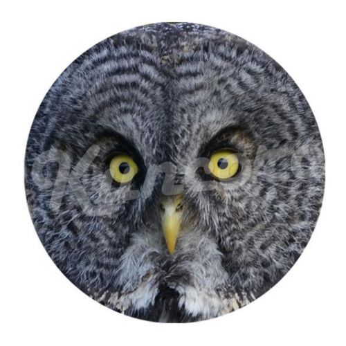 New Custom Mouse Pad Mouse Mats With Owl Design