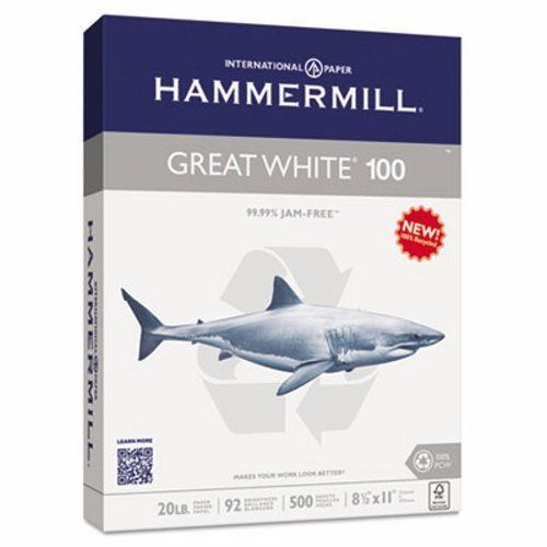 Hammermill Great White Copy Paper, 5000 Sheets per Case (HAM86790)