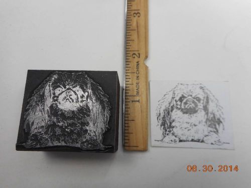 Printing Letterpress Printers Block, Pekingese Dog