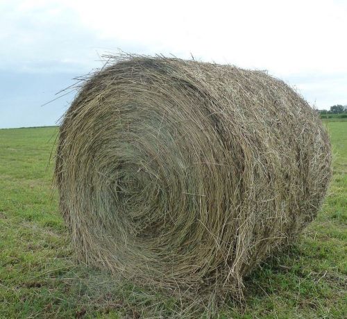 Mixed Grass Hay 5&#039; x 5&#039; Round Bales