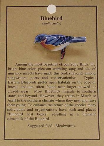 Bluebird hat bird pin lapel pins   free u.s.  ship for sale