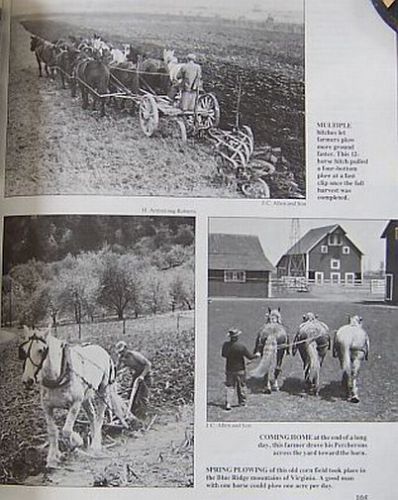 Draft, Plow Horses Book: Clydesdale; Percheron; Horse Power Plowing, Logging,