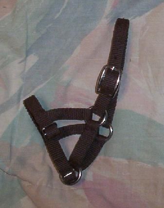 Figure 8 style halter- brown-llama/sheep-new-horse tack for sale