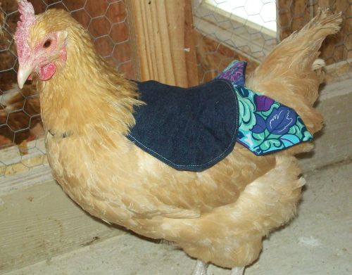 2 super deluxe chicken saddle apron hen jacket wing/back/shoulder hatching egg for sale